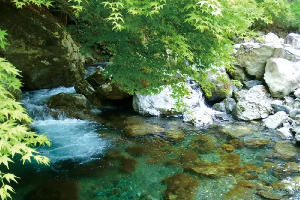 高千穂の渓流と新緑