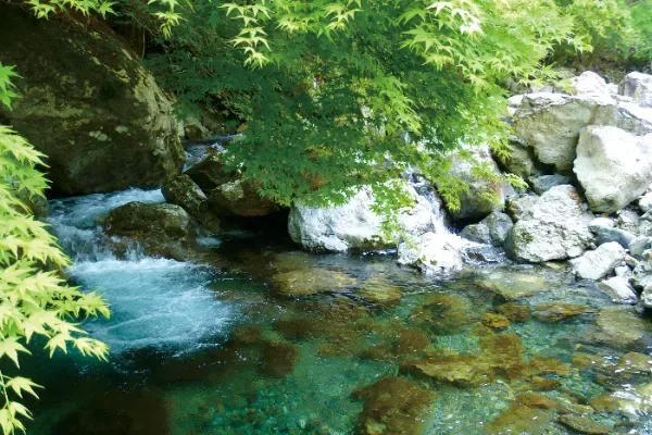 高千穂の渓流